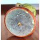 Globe terrestre en bois vintage