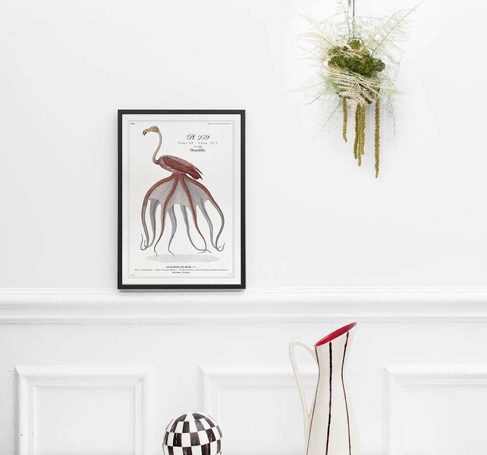 Chimera lithograph animal engraving - the pink flamoulpe