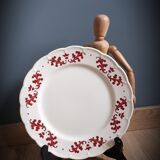 Coronation boch plate