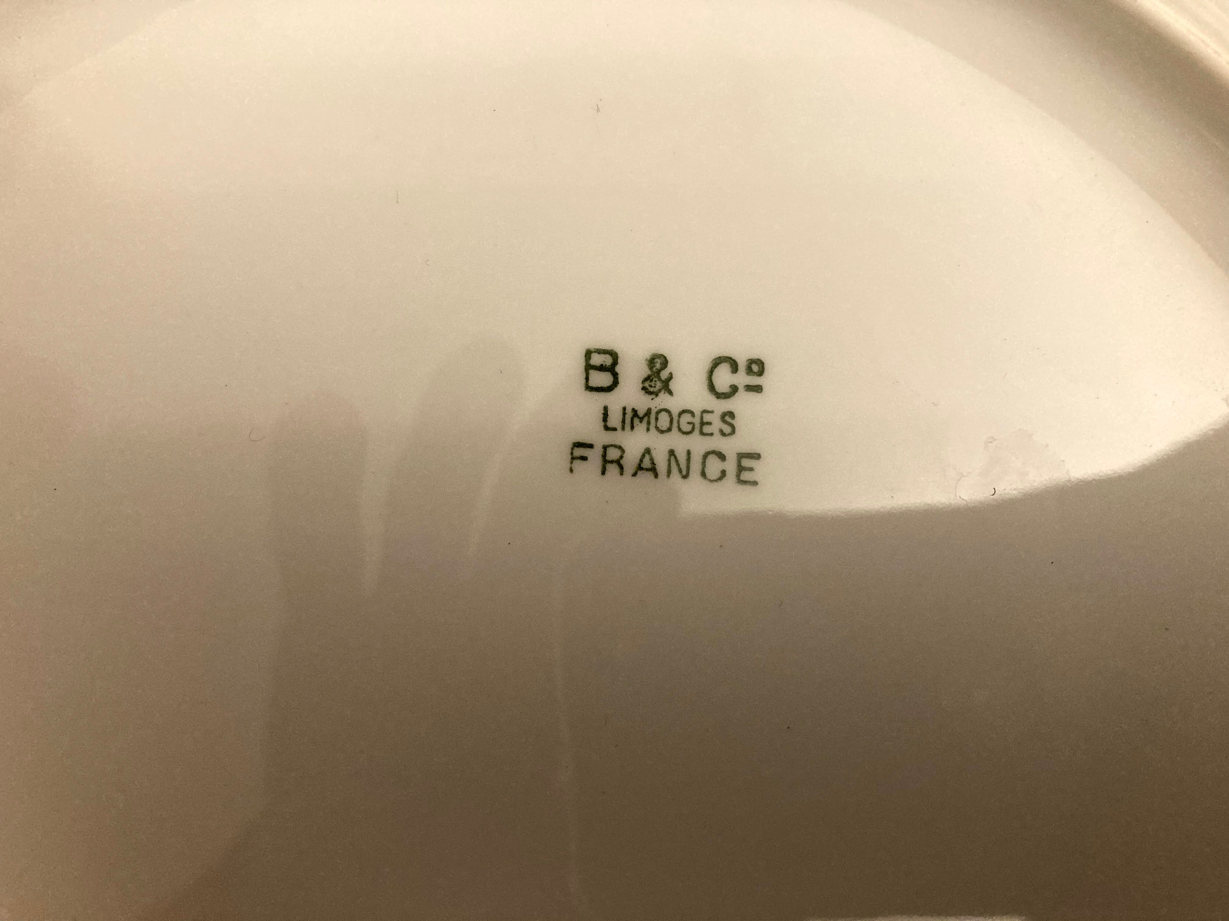 7 porcelain plates from limoges, bernardaud