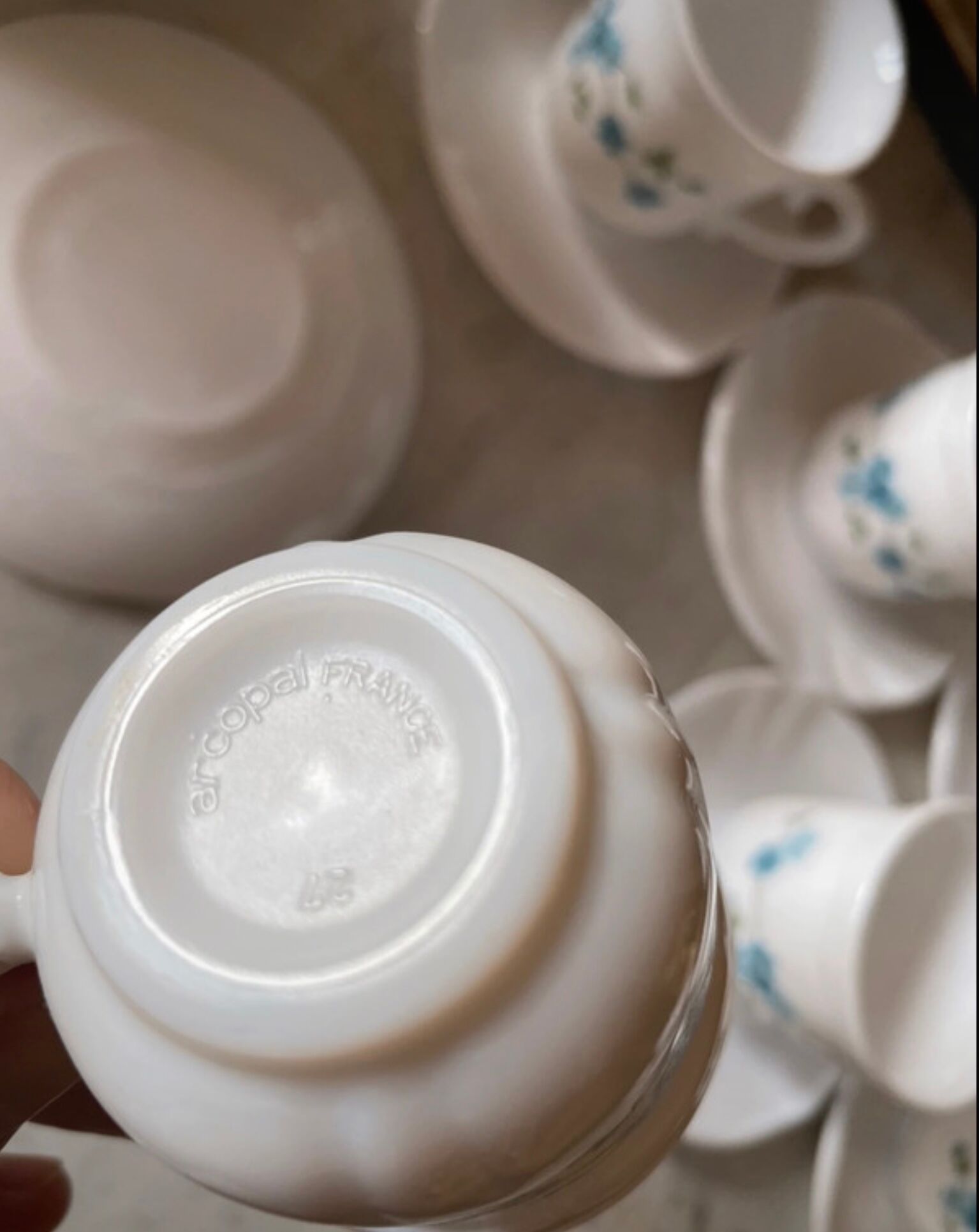 Coffee service Forget-me-not Arcopal