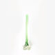 Soliflore vase - aquatic green