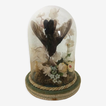 Bridal globe stuffed bird