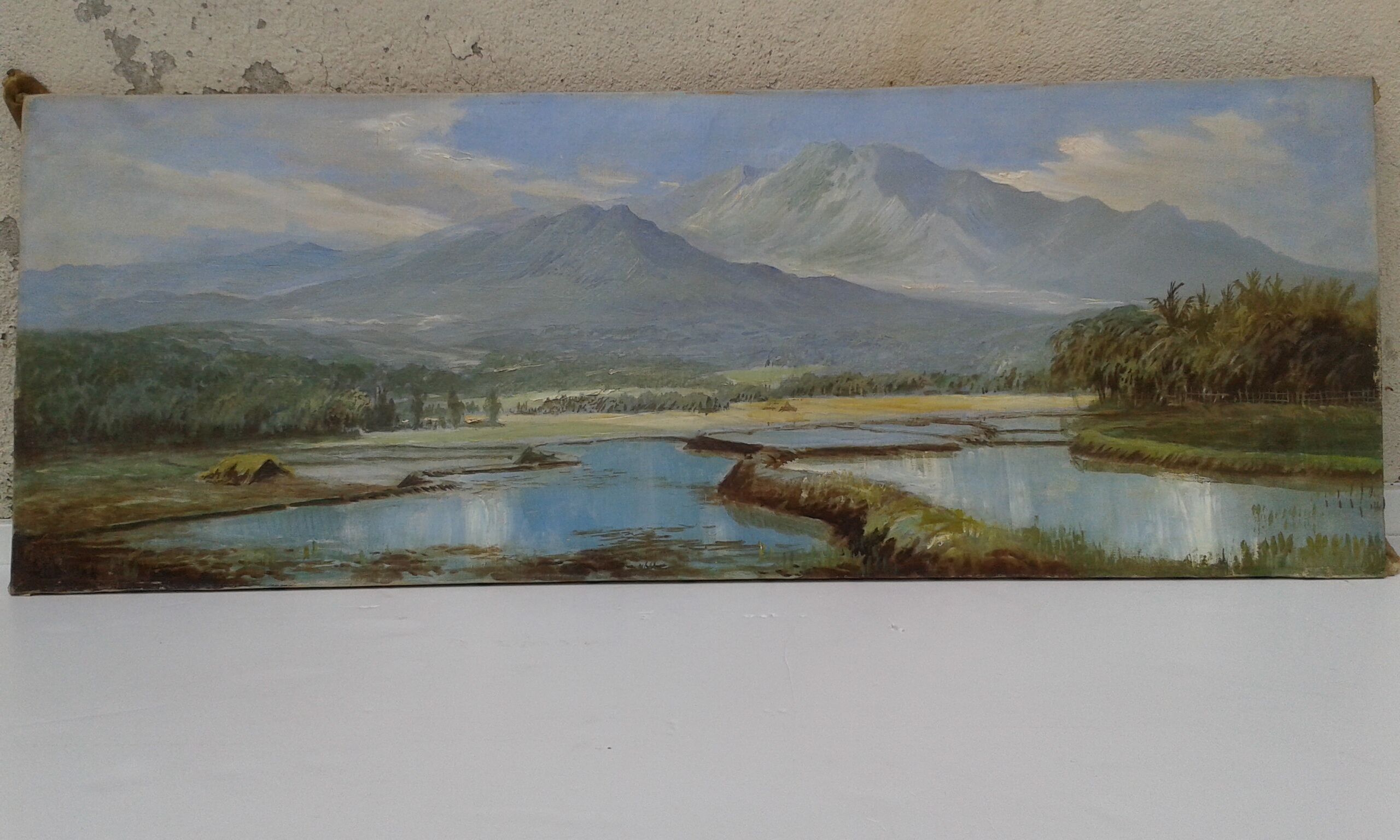 Rice paddy landscape Java Indonesia Abdullah Suriosubroto