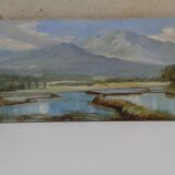 Rice paddy landscape Java Indonesia Abdullah Suriosubroto