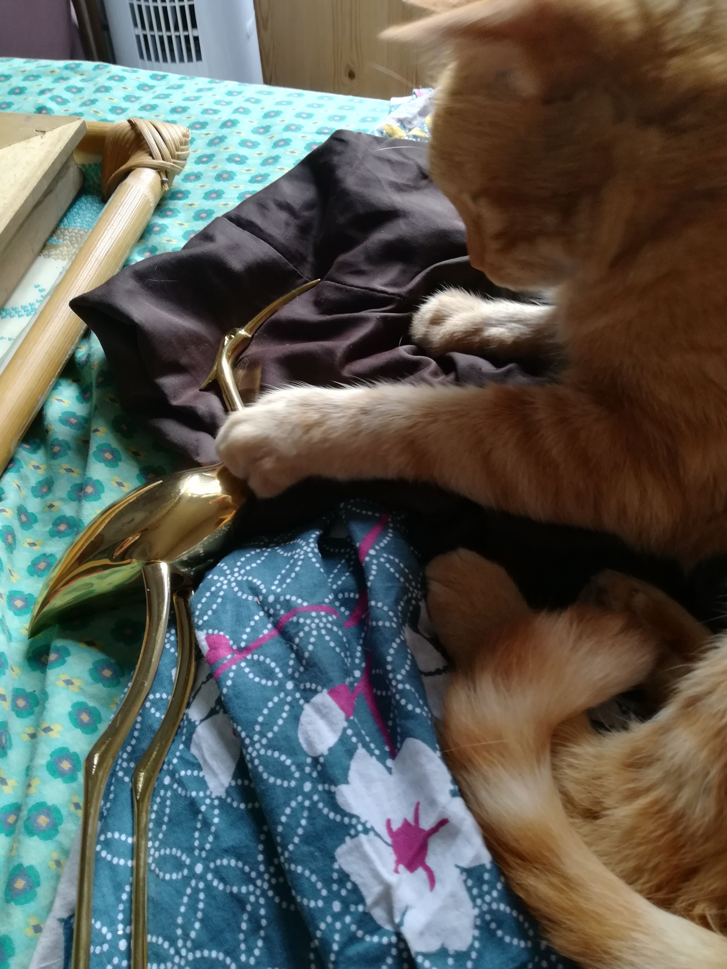 Heron or brass ibis on Plexiglas base