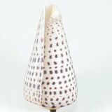 Cabinet of Curiosities: Conus shell on a blackened wooden base, 19th century