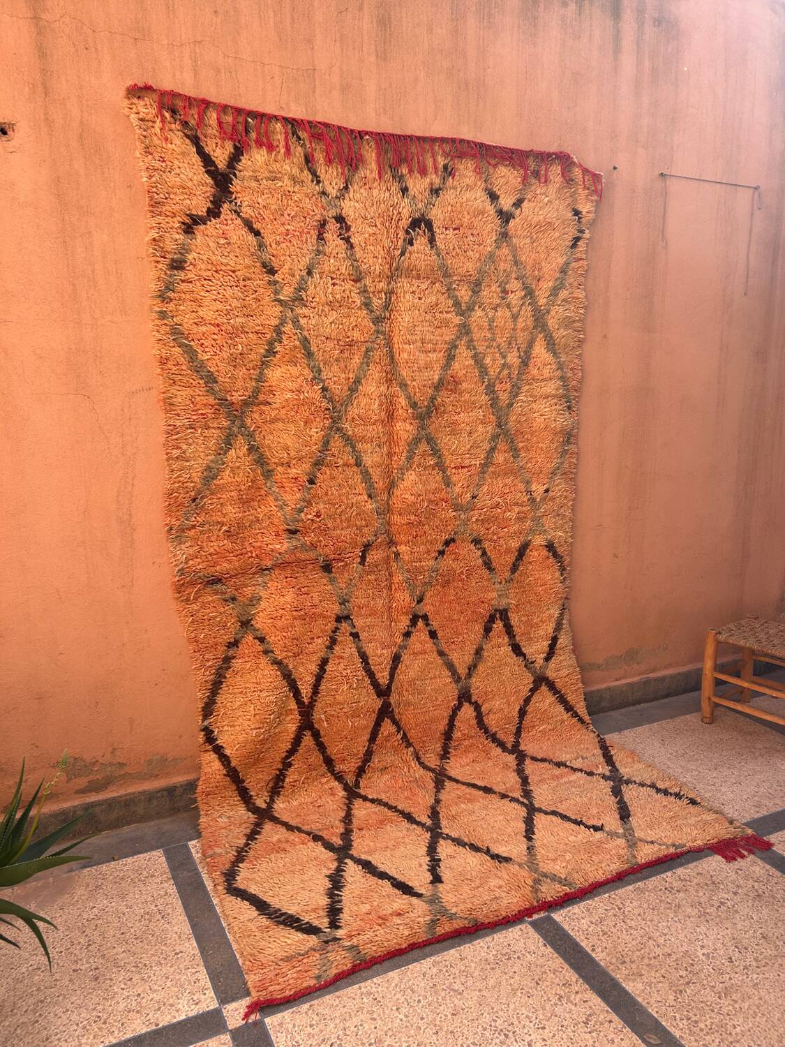 Rug 320x170cm