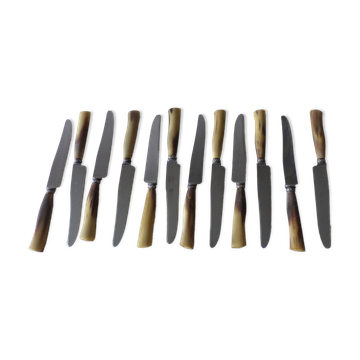 Coffret de 12 couteaux en corne