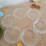 Flat set and 6 shell-shaped glass ramekins