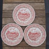 Lot 3 assiettes rose Campagne