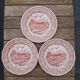 Lot 3 assiettes rose Campagne