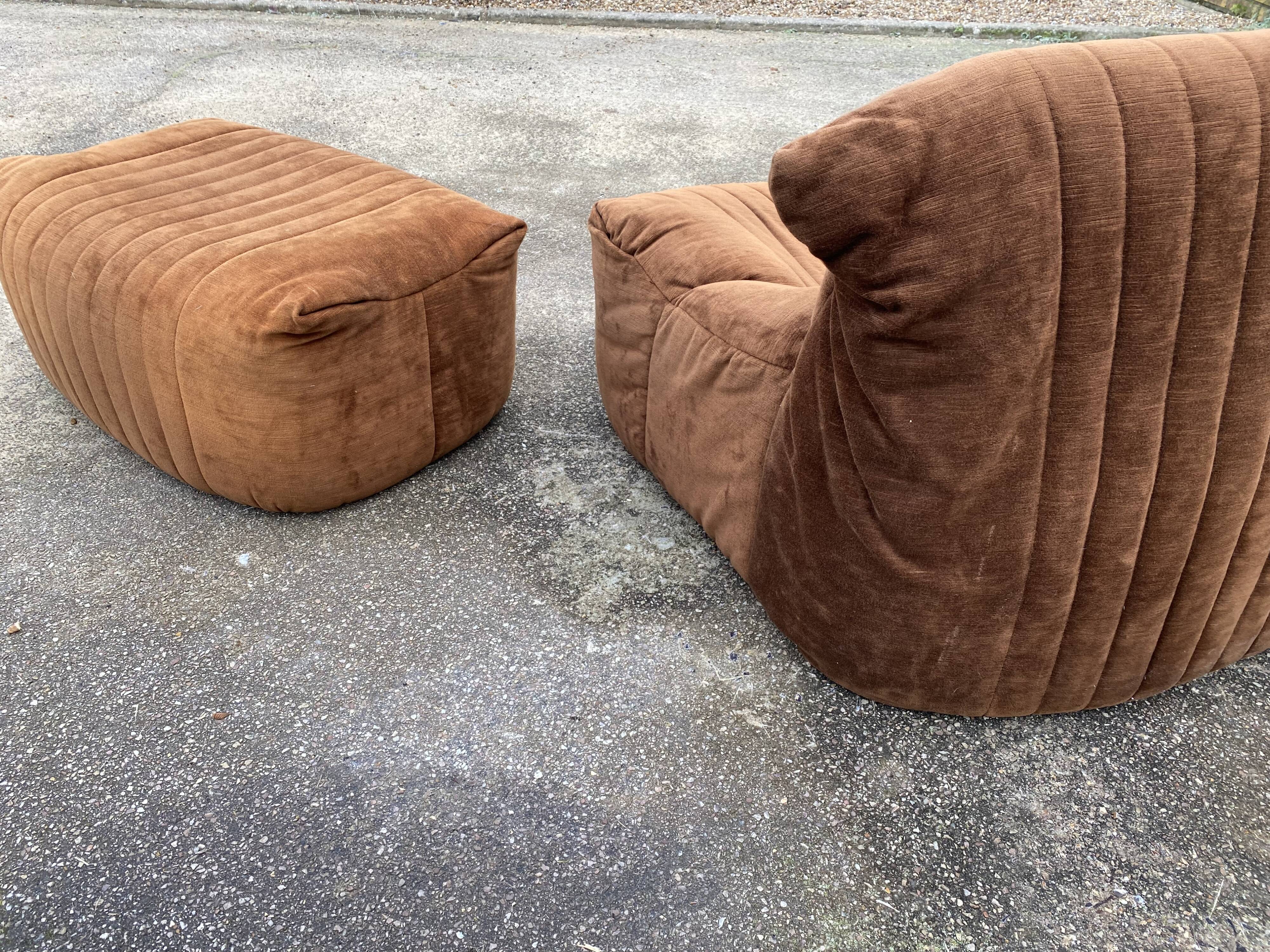 Sofa and pouf Aralia by Michel Ducaroy, Ligne Roset edition