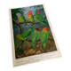 Poster "The Birds of the World" - 1969