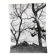 Silver gelatin photograph by Bernard Darot, Two Trees by the Water, 20th century