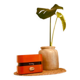 Orange Terraillon scale