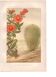 Old engraving from 1889. Grenadier. Botanical plate. Vintage red flower.