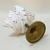 Shell chalice Old natural holy water stoup on bronze foot 19th century empty pockets cabinet of curiosities