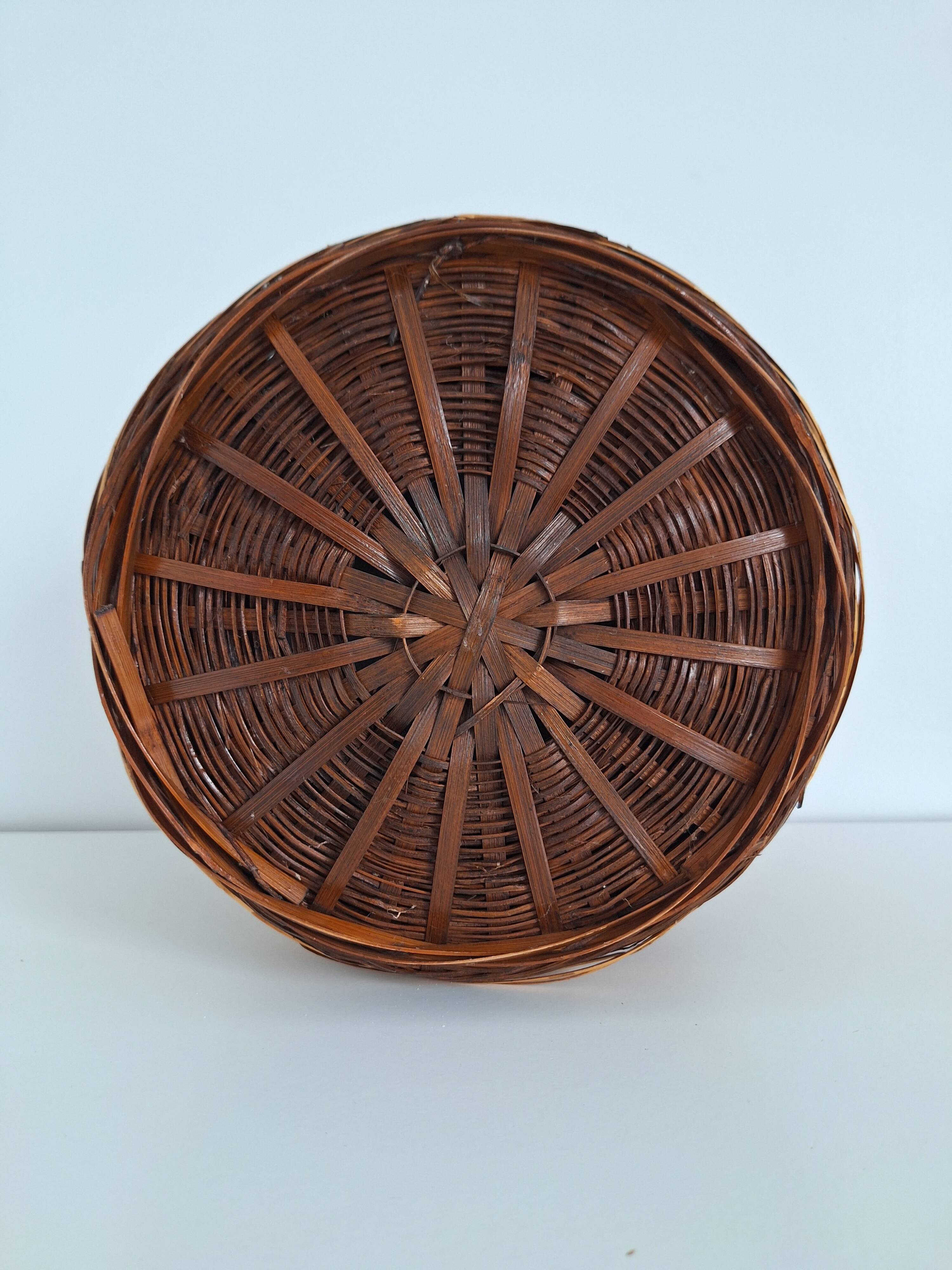 Wicker plant pot
