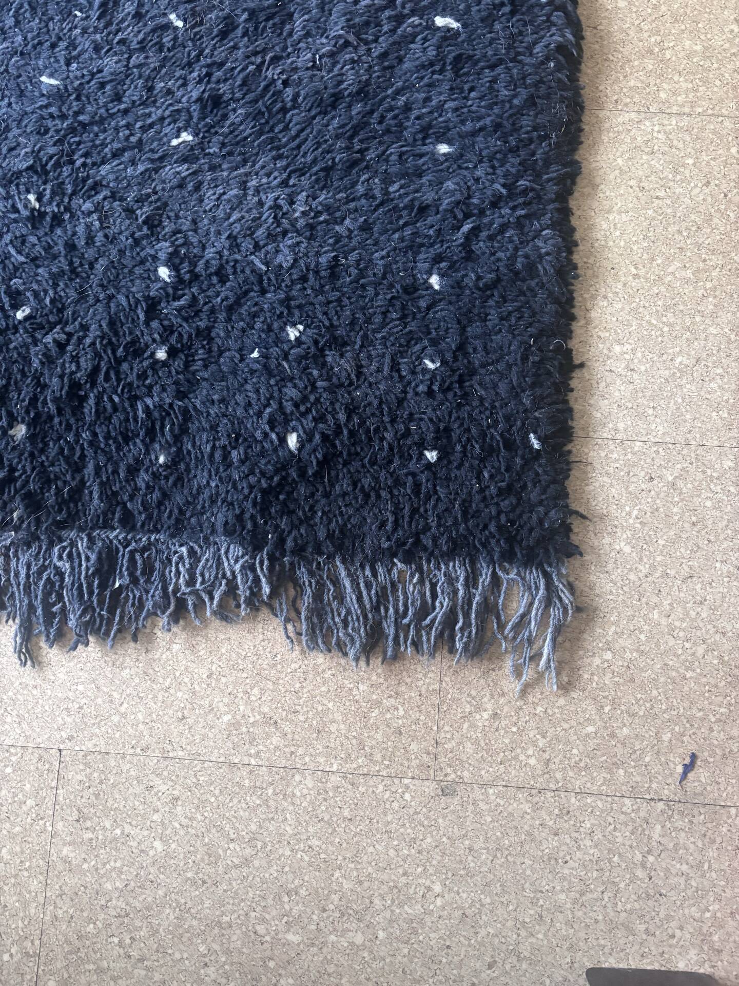 Moroccan Berber rug Beni Ouarain black with white spots 254 x 205 cm