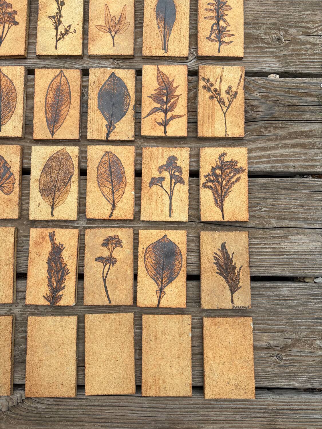 Set of 52 Vallauris herbarium tiles signed Capron