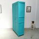 Armoire parisienne vintage
