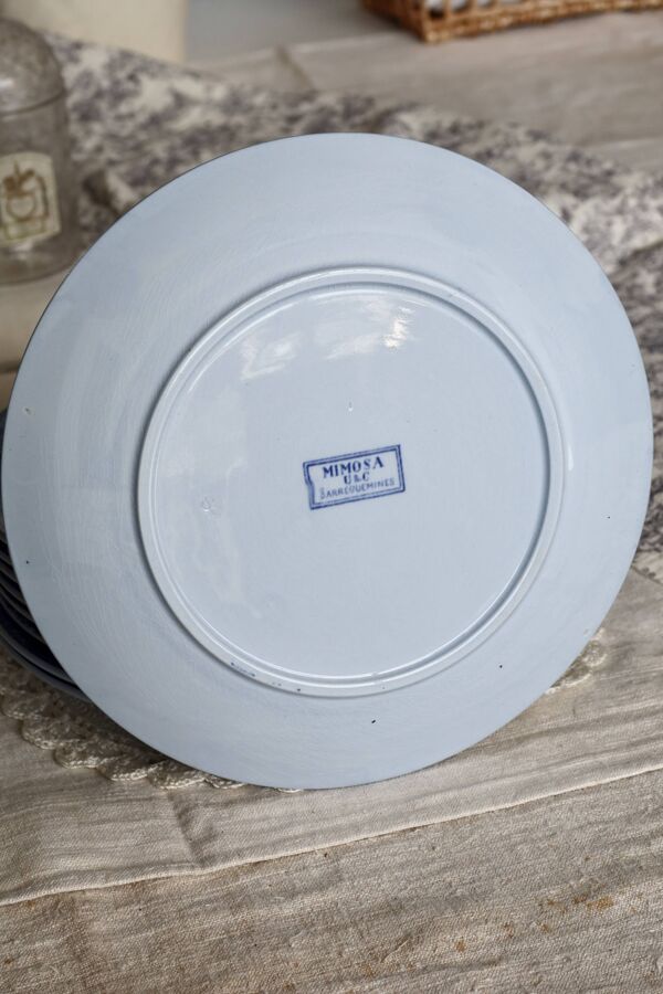 10 assiettes plates antiques U&C Sarreguemines modèle Mimosa