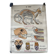 Affiche scolaire ancienne Rossignol – Anatomie animale chat / porc – recto