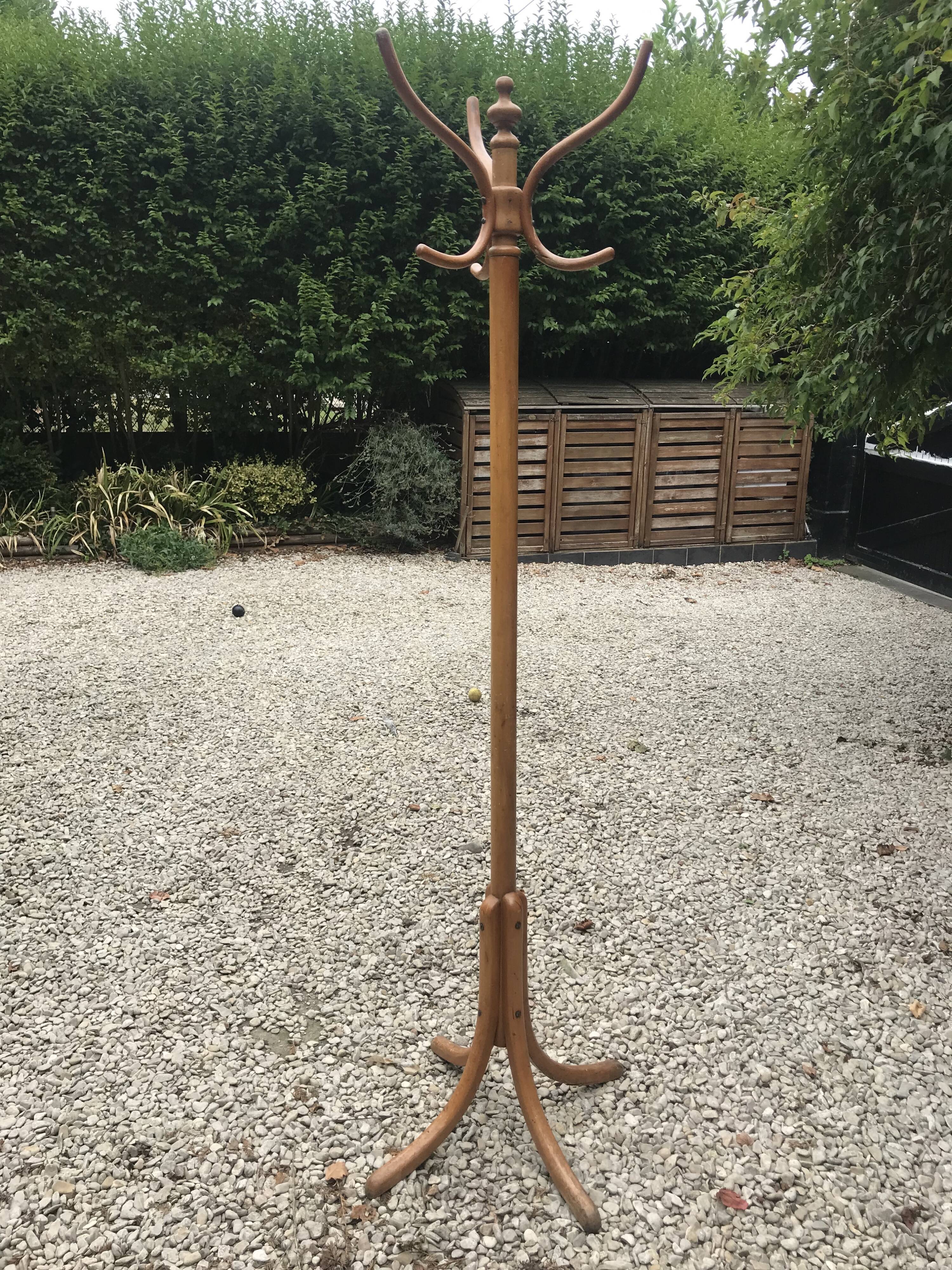 Parrot coat holder
