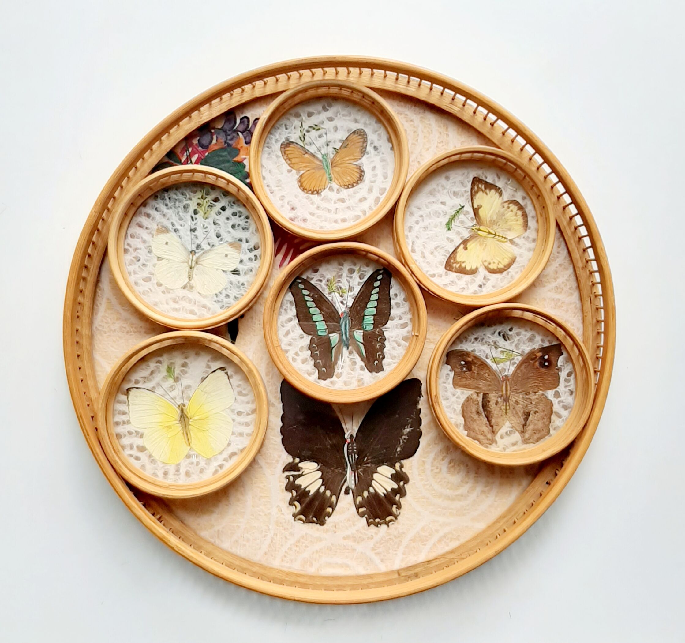Butterfly tray and 6 coasters