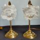 Paire de lampe col de cygne vintage