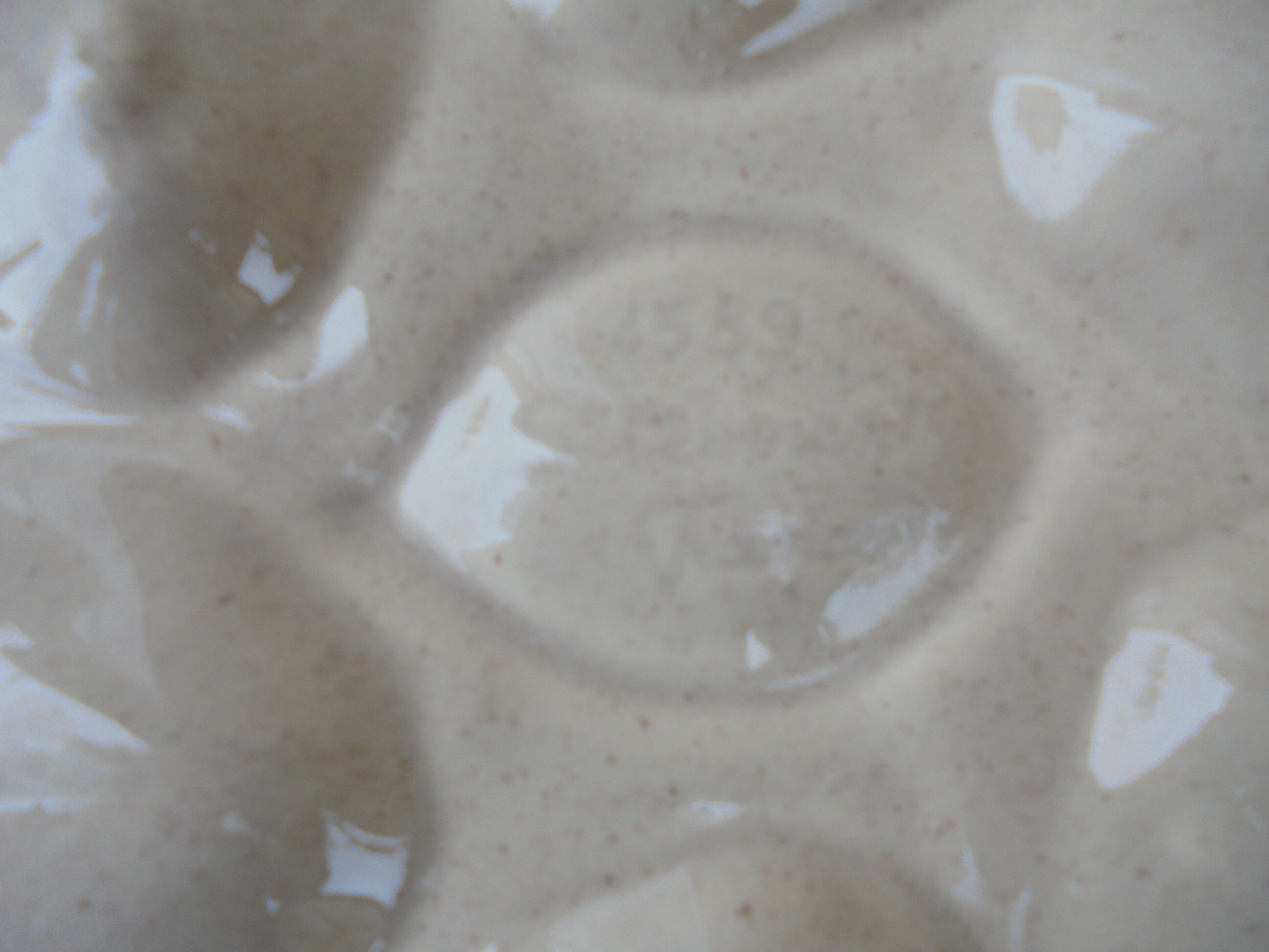 12 Saint Clement oyster plates