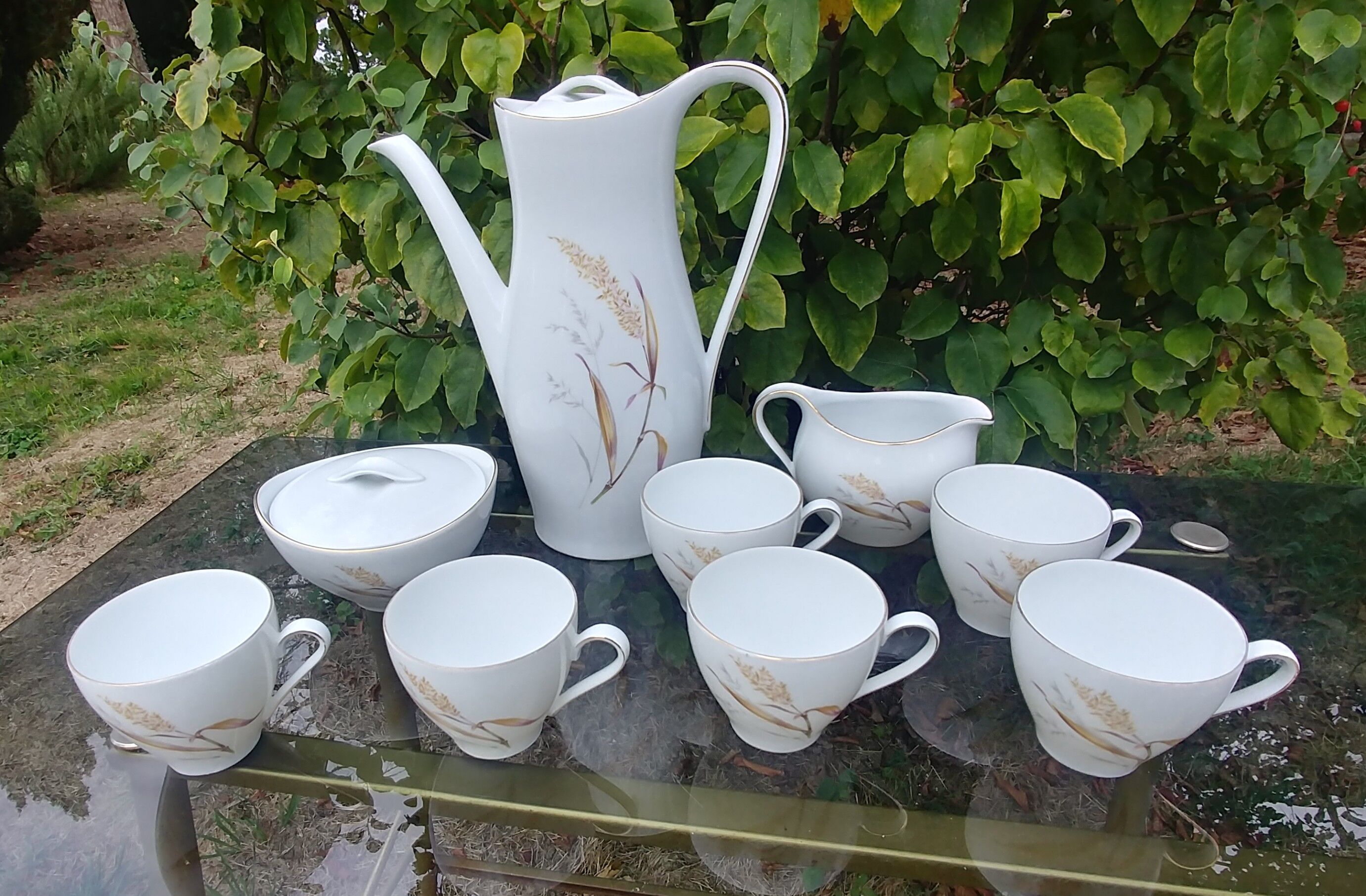 Coffee service Eschenbach Bavaria-Germany in fine porcelain decoration wheat Vintage years 70/80s