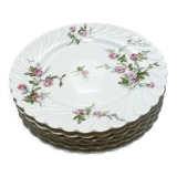 6 dessert plates. Haviland Limoges France. Perfect condition
