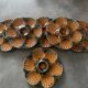 Sarreguemines majolica oyster plates