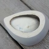 Ashtray organic form