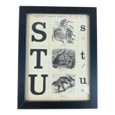 Framed s-t u alphabet board