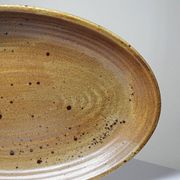 Large oval serving dish, vintage Salins stoneware/ceramic, 1960s