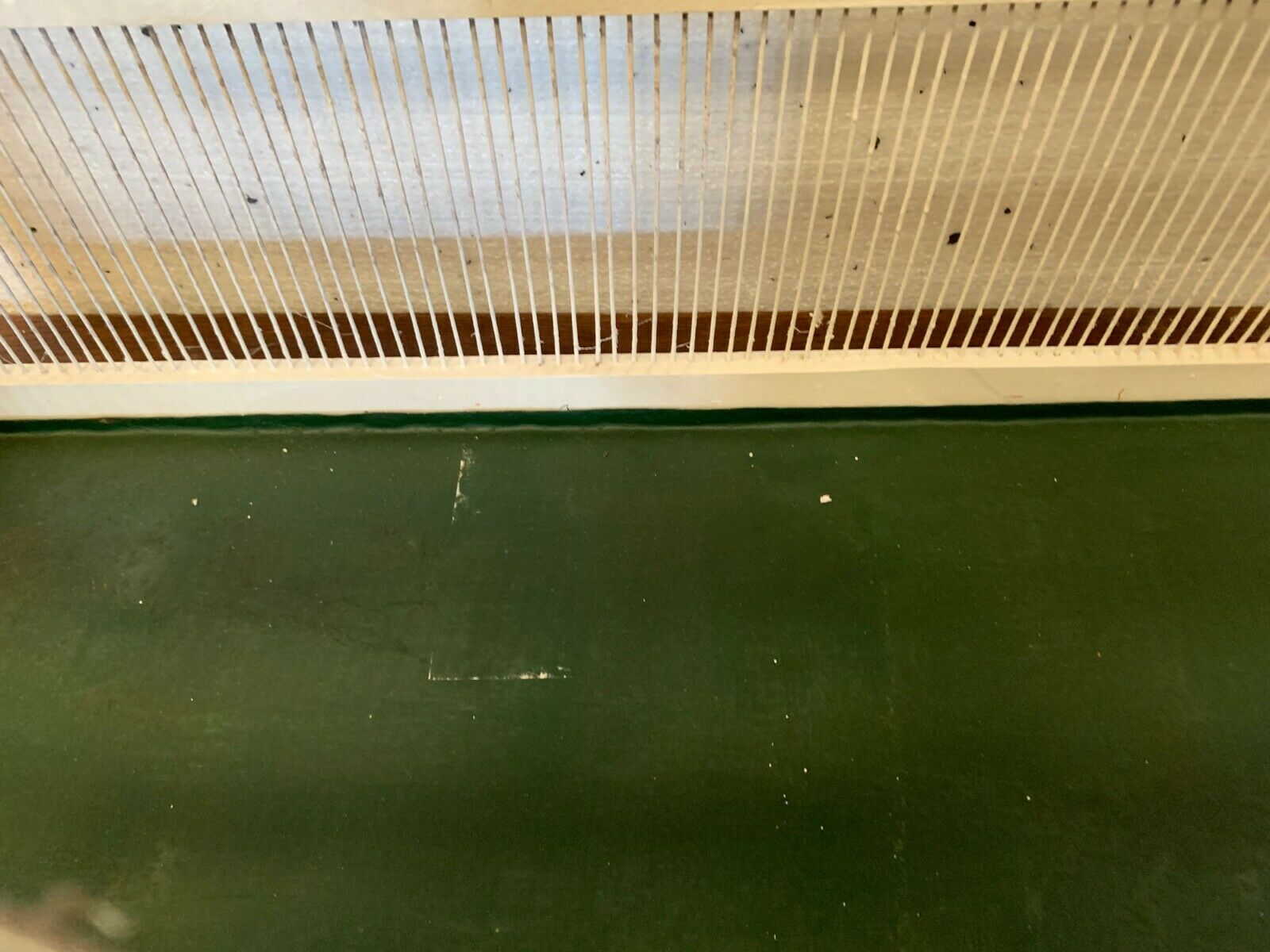 Cage has iron birds and prison volière has 20th century bars