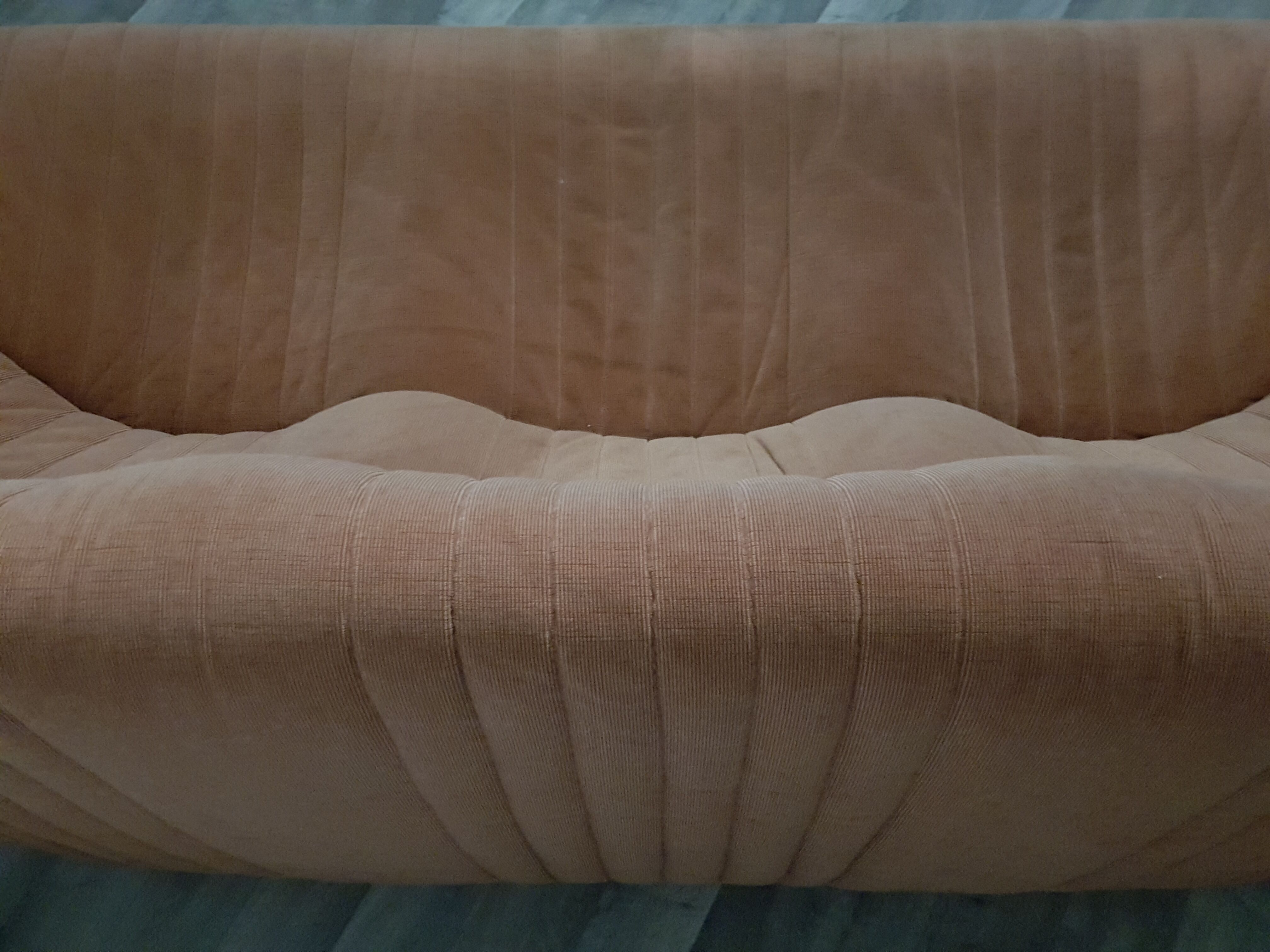 Aralia sofa by Michel Ducaroy