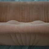 Aralia sofa by Michel Ducaroy