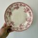 Lot de 10 assiettes plates anciennes en terre de fer dépareillées