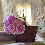 Wicker basket