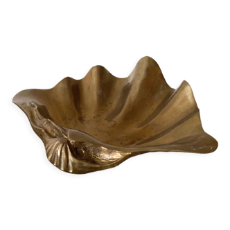 Shell pocket tray