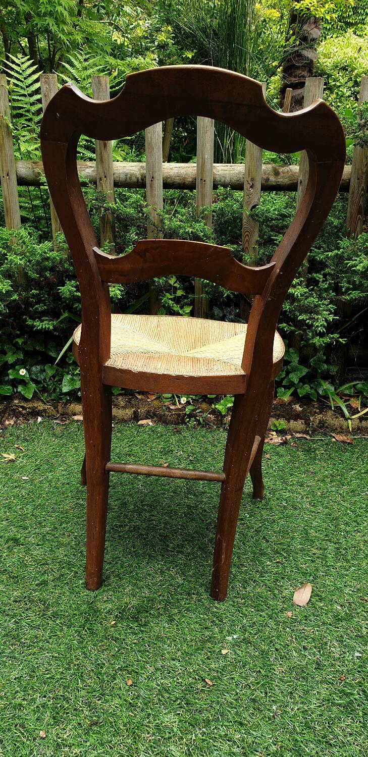 Louis Philippe chair in cherry wood circa 1900