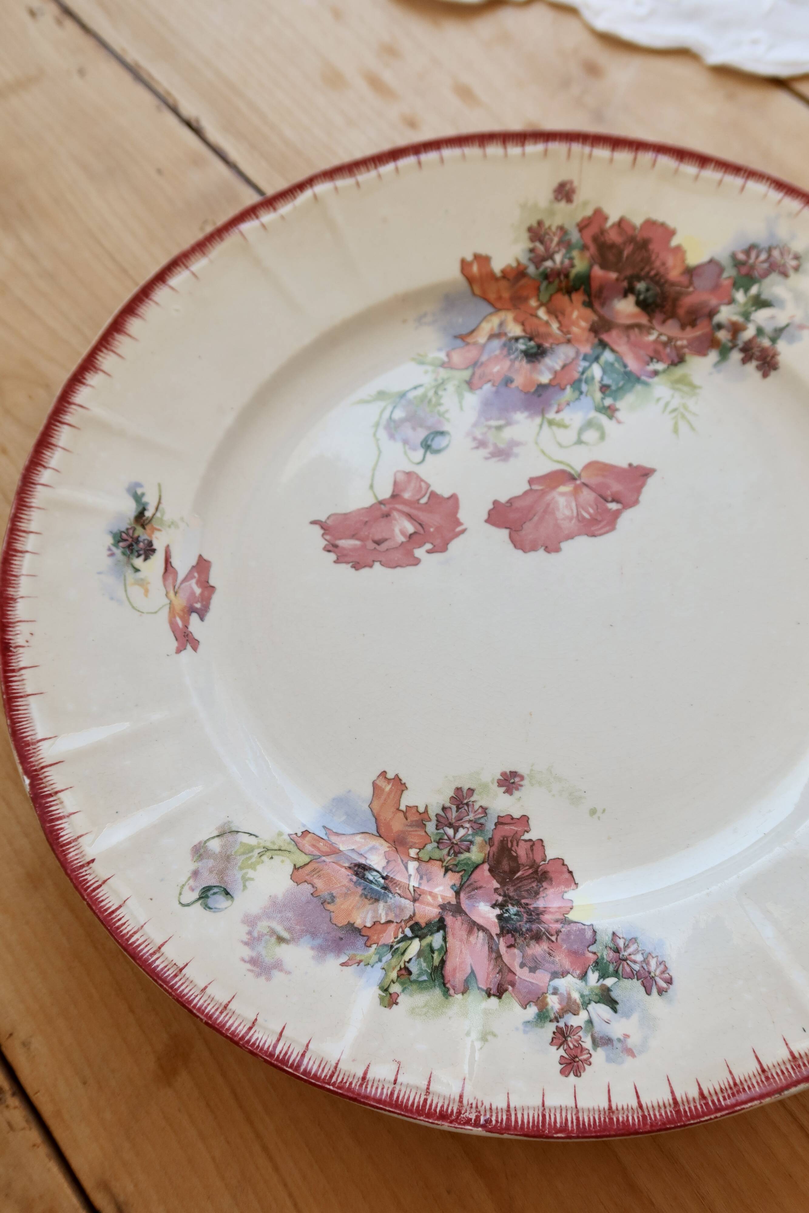 Polychrome ironstone plate from Saint-Amand and Hamage, Poppies model.