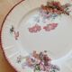 Polychrome ironstone plate from Saint-Amand and Hamage, Poppies model.