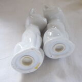 Salt and pepper shaker