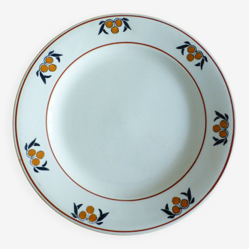 1 assiette plate en terre de fer des Salins modèle Mimosa 221240