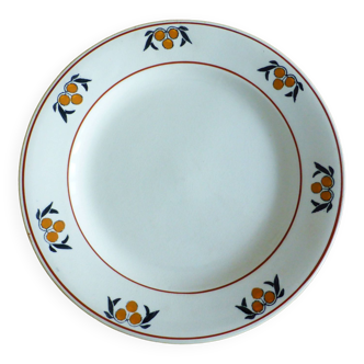 1 assiette plate en terre de fer des Salins modèle Mimosa 221240